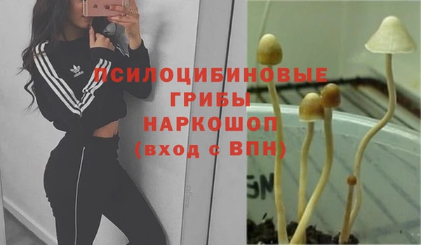 бутик Гусь-Хрустальный