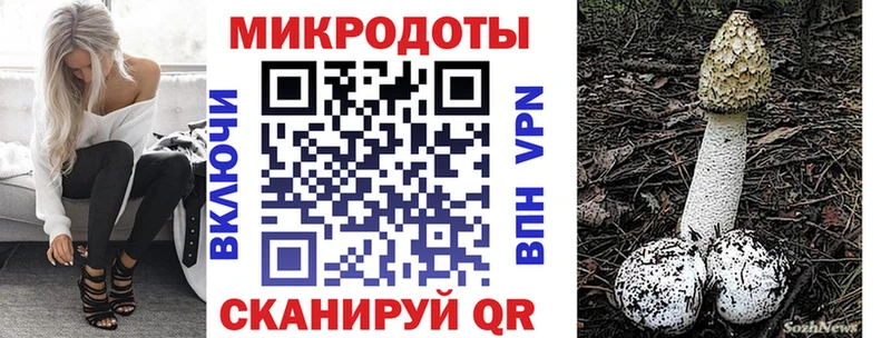 Купить закладки  Каргополь  Псилоцибиновые грибы прущие грибы 
